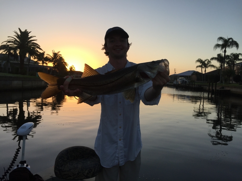 Snook on the Fly