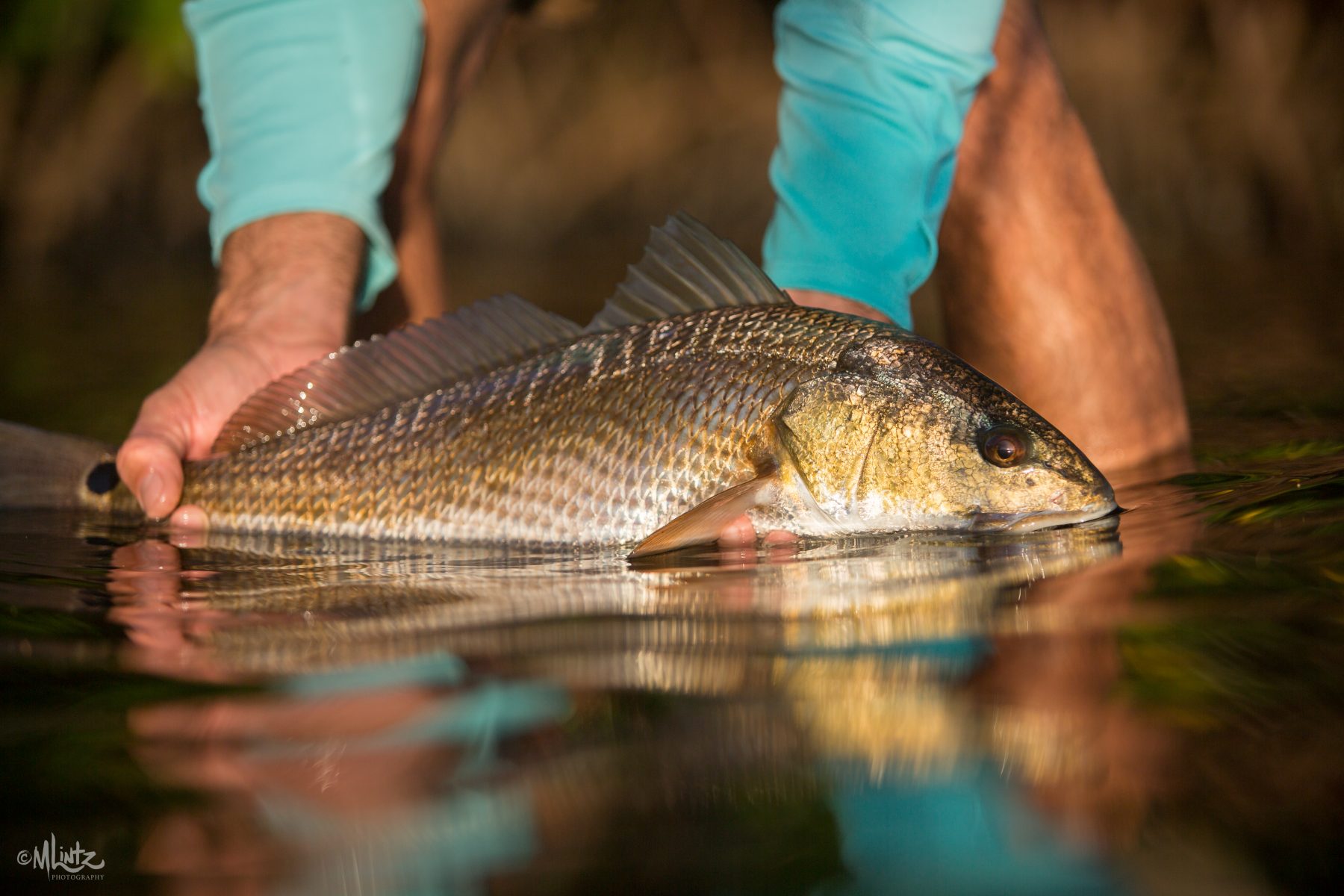 Fly Fishing and Light Tackle Punta Gorda Florida True Florida Expeditions